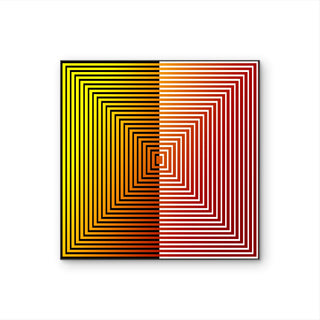 Tableau contemporain Kinetic Field avec lignes géométriques concentriques et effet de profondeur optique.